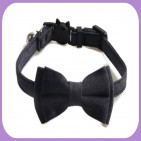 Collar-251